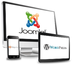 <span class="mainpurple">content management</span><br/>systems